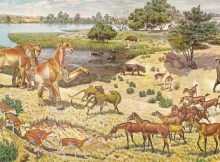 Illustrator Jay H. Matternes captured a scene from the Miocene Period as an ancient species of horse called Parahippus, lower right, interacts with other carnivores and herbivores of the time. Illustration/Jay H. Matternes/U.S. Department of the Interior/Wikimedia Commons