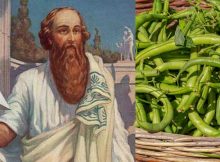 Why Didn't Pythagoras And His Followers Eat Beans?