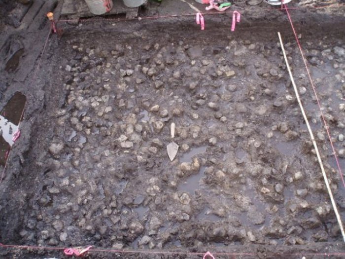 Archaeologists have uncovered what could be the world’s oldest surviving garden, built by ancestors of the Katzie First Nation. Image credit: Katzie Development Limited Partnership