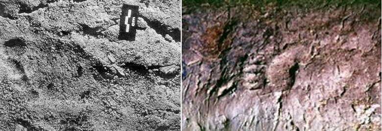 Caveboy left footprints in the clay of time.