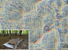 Remarkable 2,000-Year-Old Unknow Settlement Hidden In The Polish Tuchola Forest Revealed By LIDAR