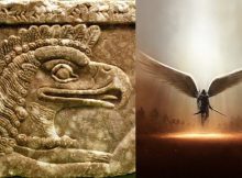 Apkallu - Seven Antediluvian Sages Created By God Enki - Were They The Watchers?