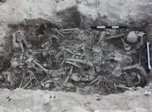 The bones of the Crusaders found in a burial pit in Sidon, Lebanon. Credit: Claude Doumet-Serhal