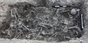 The bones of the Crusaders found in a burial pit in Sidon, Lebanon. Credit: Claude Doumet-Serhal