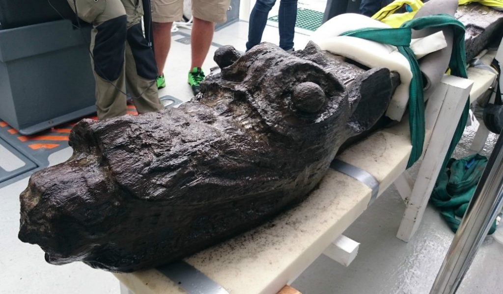 The wooden monster was brought to the Danish National Museum in 2016, where archaeologists and conservationists analysed the wood for traces of paint. (Photo: Johan Rönnby, Södertörn University)