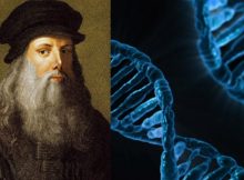 da vinci dna