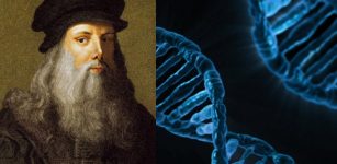 da vinci dna