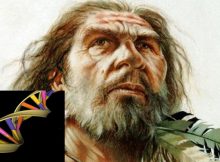 denisovans DNA