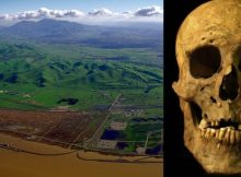 Discovery Of Unusual Ancient Skeleton Offers Evidence Giants Inhabited California
