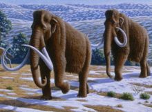 Fascinating Gigantic Creatures Today Totally Extinct 13,000 Years Ago Co-Existed With Early Americans