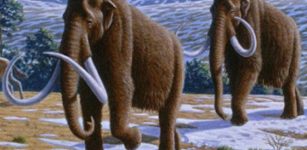 Fascinating Gigantic Creatures Today Totally Extinct 13,000 Years Ago Co-Existed With Early Americans