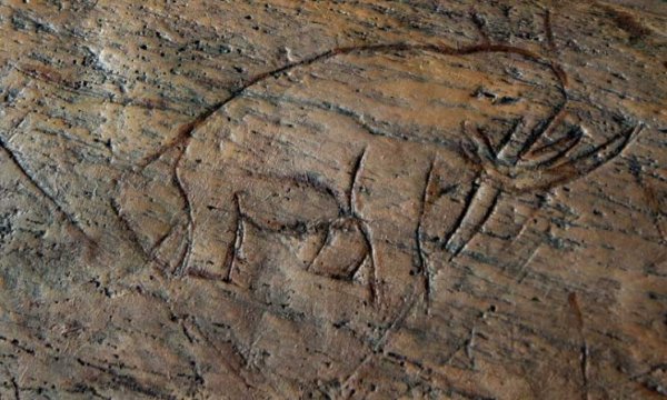 A casting of the fossil found at what has become known as the Old Vero Man site in Vero Beach depicting an etching of a mastodon or mammoth.