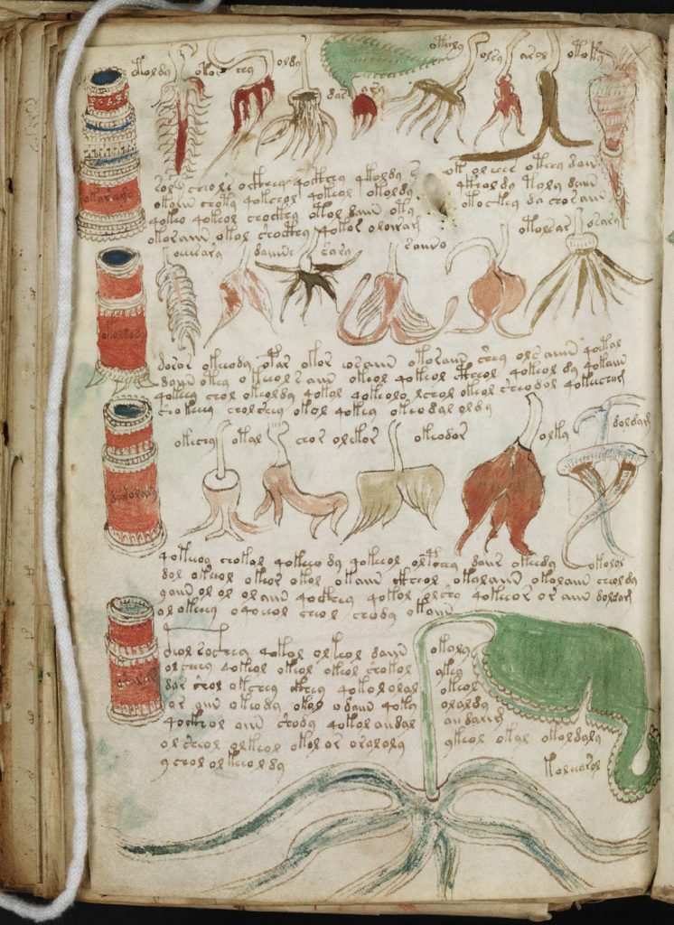 Mysterious Voynich Manuscript Was Written In Two Languages – Scientists Say voynich manuscript