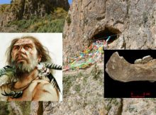 Denisovans Tibetan Plateau