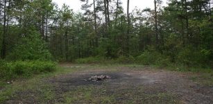 Bizarre Devil's Tramping Ground In North Carolina Is Avoided By People And Animals