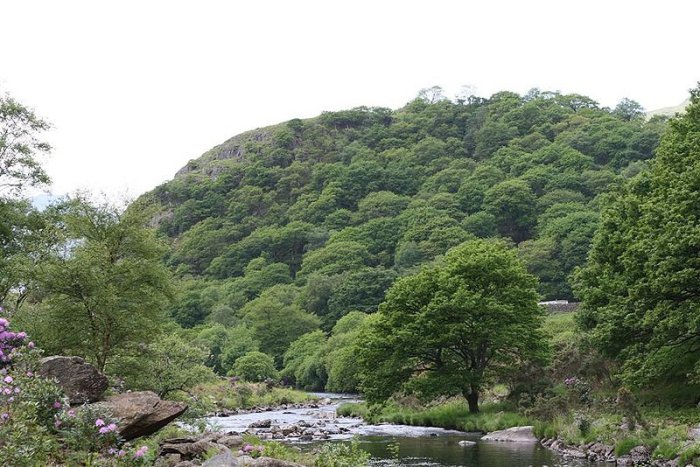 Magical Dinas Emrys - Battle Of The Dragons And Merlin’s Hidden Treasure