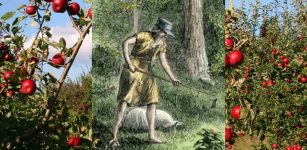 Legendary Johnny Appleseed Who Planted Apple Trees Across North America