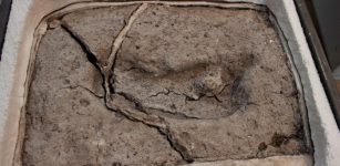 Discovery Of Oldest Human Footprint In The Americas Can Re-Write History