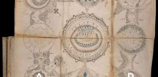 voynich manuscript