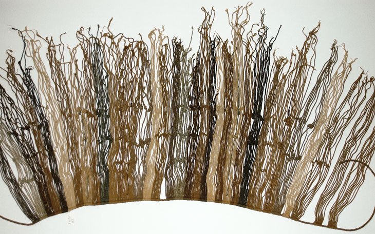 Did The Inca Use Quipu To Collect Taxes?