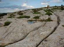 Unknown Highly Advanced Civilization Created Malta’s Cart Ruts With Sophisticated Machinery