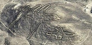 Nasca Lines