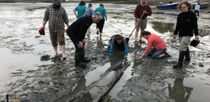 Oldest Canoe Ever Discovered In Maine – It Dates To 1280-1380 A.D