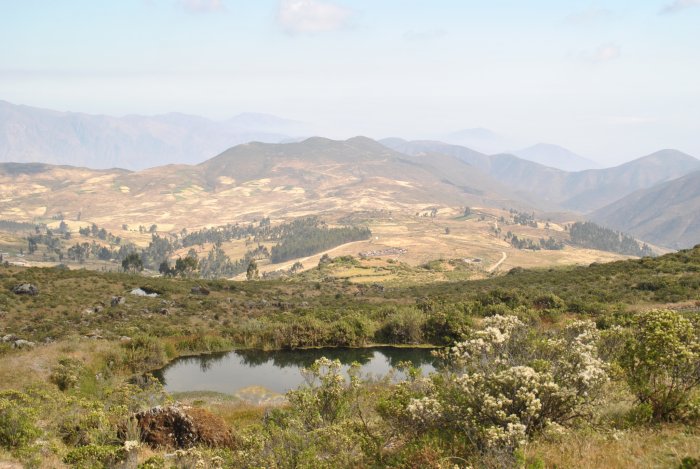 Ancient Invention Could Boost Water Availability In Peru