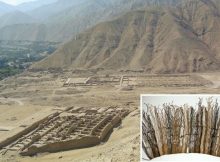 Did The Inca Use Quipu To Collect Taxes?