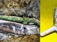 Tavern And Mysterious Tools Discovered In North Carolina – Stunning Ancient Time Capsule