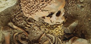 Skeleton of a man discovered at Arene Candide. The man's head head was surrounded by hundreds of perforated shells