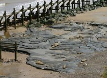 Human Footprints Dating Back 800,000-Year Discovered In Norfolk UK