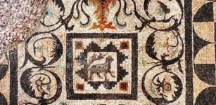 A new mosaic was found in Alexandria by Polish archaeologists