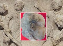 The Ancient Roman marble child statue head unearthed in the Danube city of Novae. Photo: Archaeologist Pavlina Vladkova via the Yantra Dnes daily