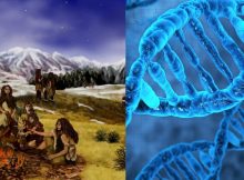 Neanderthal DNA Still Influence Modern Human Genes