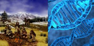 Neanderthal DNA Still Influence Modern Human Genes