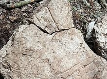 Stele with burn marks due to extreme fire in Witzna, in 697.