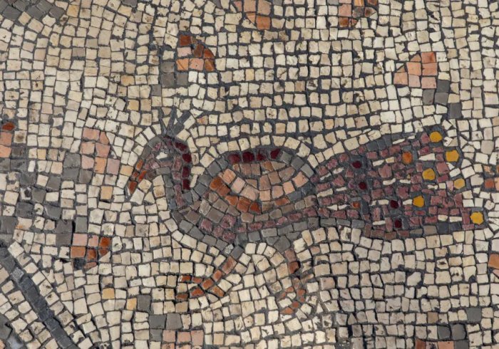 A peacock in the mosaic floor. Credit: The University of Haifa
