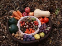 Mabon Festival And The Autumn Equinox Celebrated By Pagans