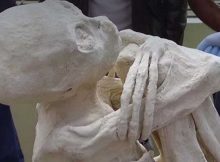 Mystery Of Nazca’s Controversial Three-Fingered Mummies Continues – Attempt To Steal The Ancient Remains!