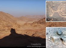 Ancient Hebrew Inscription Reveals Location Of Biblical Mount Sinai