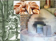 Bread - basic food of man in almost all cultures