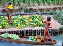 Chinampas - The Aztec old idea