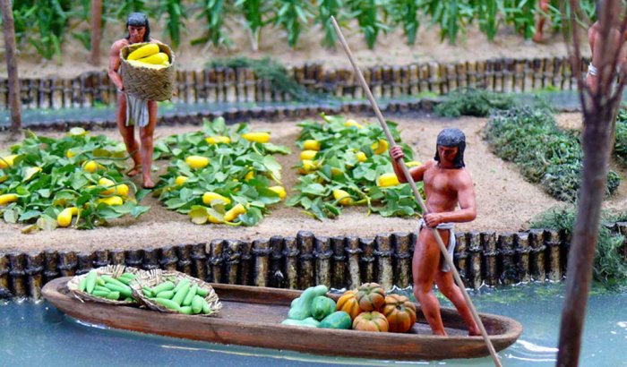 Chinampas - The Aztec old idea