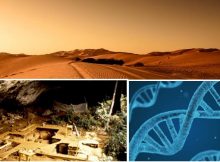 Ancient DNA Illuminates Unknown "Ghost" Populations In Sub-Sahara Africa