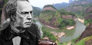 Robert Fortune's Dangerous Mission To Obtain Tea From The Chinese