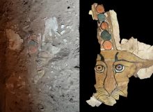 Rare Ancient Leopard Painting Discovered On Sarcophagus In Egypt