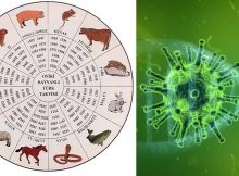 Ancient Calendar Predicted The Coronavirus And Other Disasters In 2020 – History Researcher Says