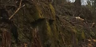 Mysterious Giant Rock Face Discovered On B.C's Central Coast - Natural Formation Or Man-Made?