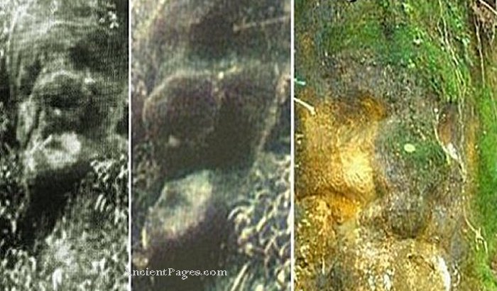 Gigantic head of "someone"